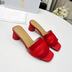 Christian Dior Slippers